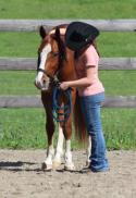 This is the first moment Madi met her 3 yr old gelding Smart Cutting Doc \